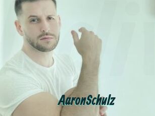 AaronSchulz