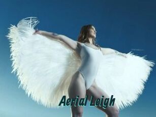 Aerial_Leigh