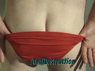 Anal_Destruction