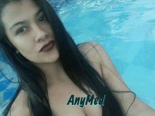 AnyMeel