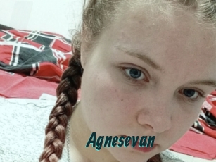 Agnesevan