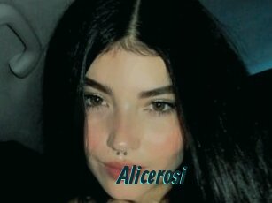 Alicerosi