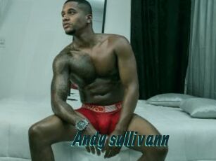 Andy_sullivann