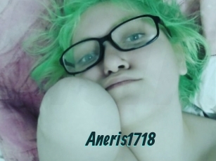 Aneris1718