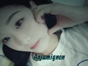 Anjamignon