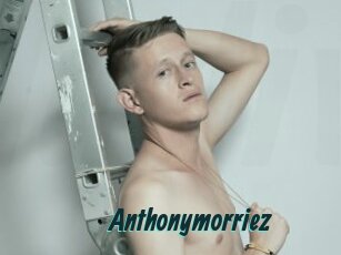 Anthonymorriez