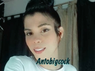 Antobigcock