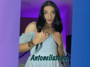 Antonellatobon