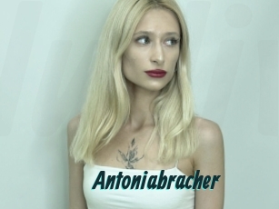 Antoniabracher