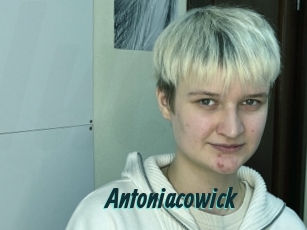 Antoniacowick