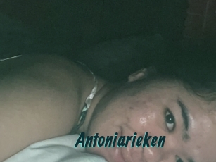 Antoniarieken