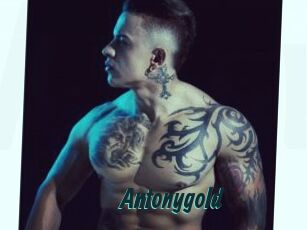 Antonygold