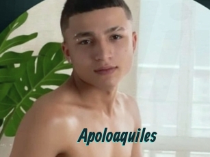 Apoloaquiles