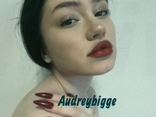 Audreybigge