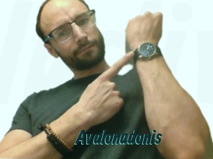 Avalonadonis