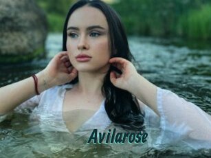 Avilarose