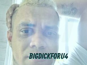 BIGDICKFORU4