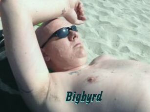 Bigbyrd