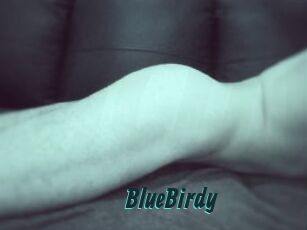 BlueBirdy