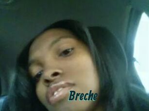 Breche