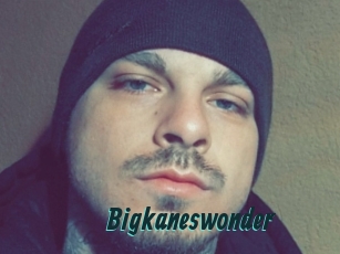 Bigkaneswonder