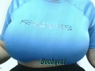 Boobycat