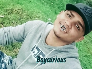 Boycurious