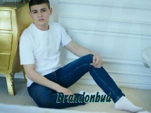 Brandonbud