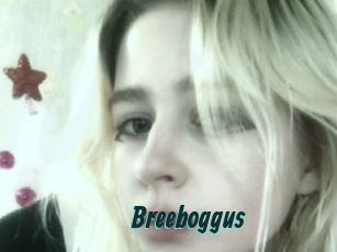 Breeboggus