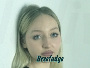 Breefudge