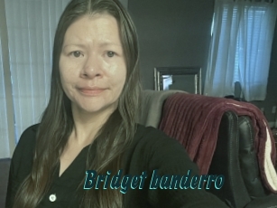 Bridget_banderro