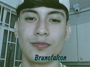 Brunofalcon