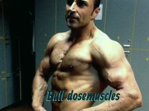 Bull_dosemuscles