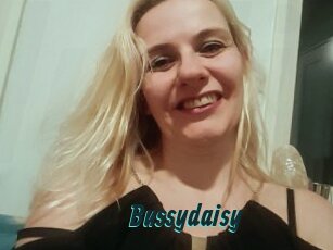 Bussydaisy