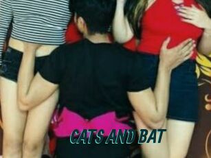 CATS_AND_BAT