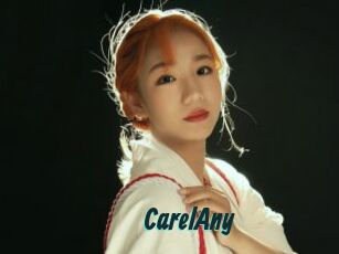 CarelAny