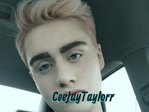 CeeJayTaylorr