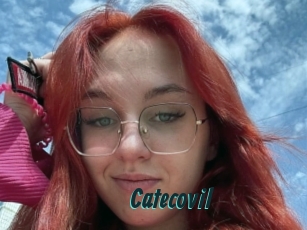 Catecovil