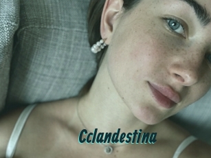 Cclandestina