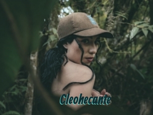 Cleohecante