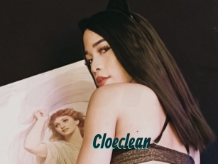 Cloeclean