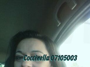 Coccinella-07105003