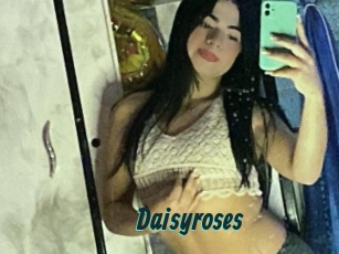 Daisyroses