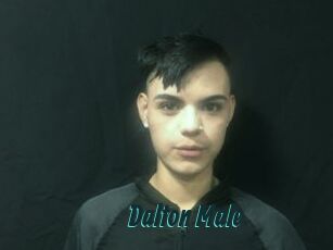 Dalton_Male