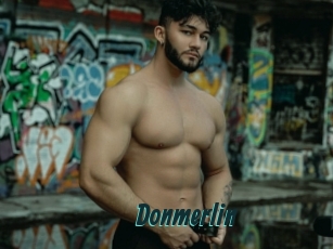 Donmerlin