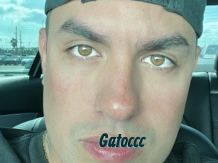 Gatoccc