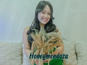 Honeymendoza