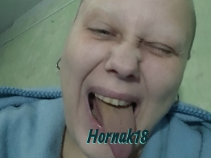 Hornak18