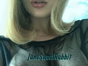 JaneSweetRabbit