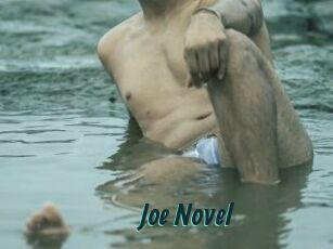 Joe_Novel